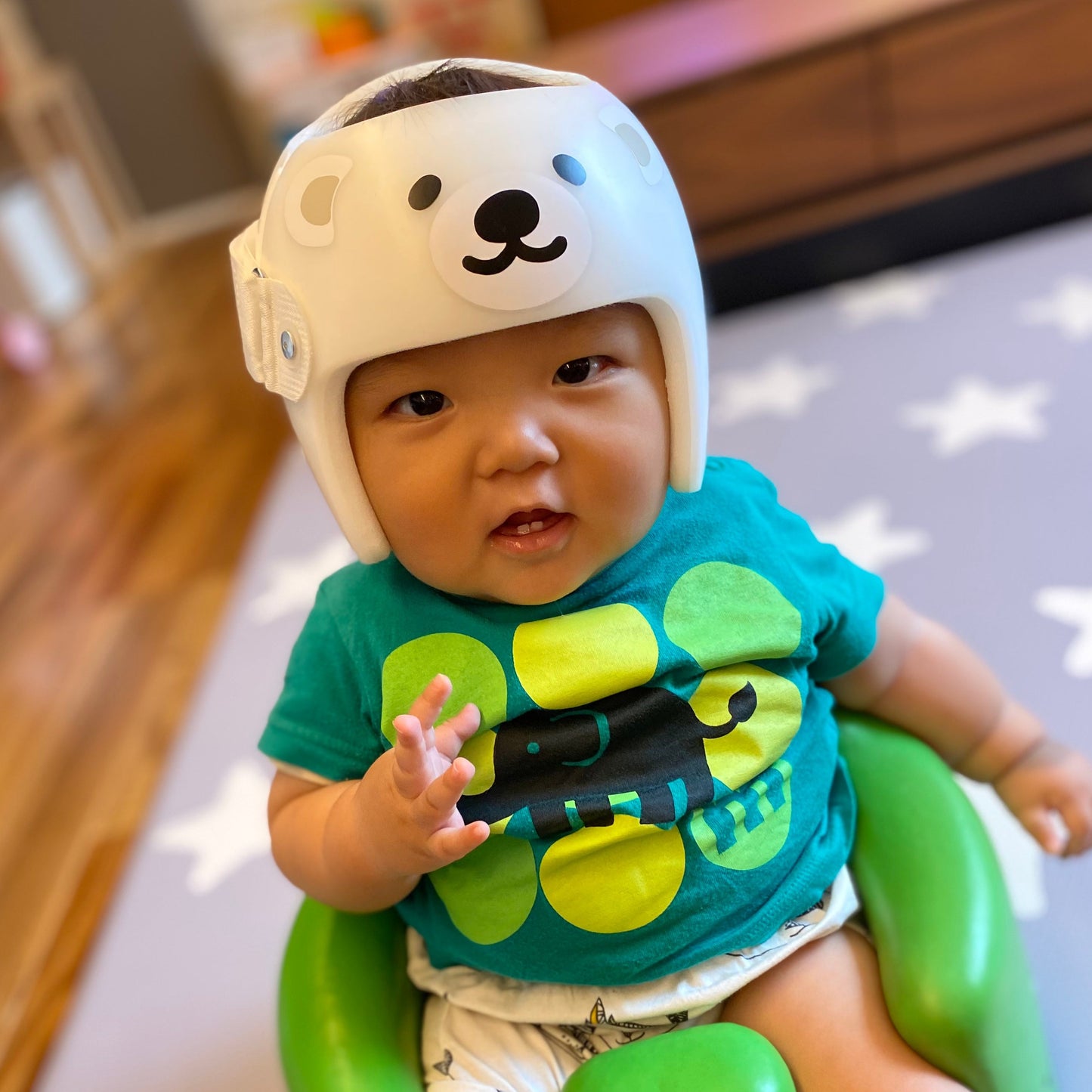 Polar Bear
