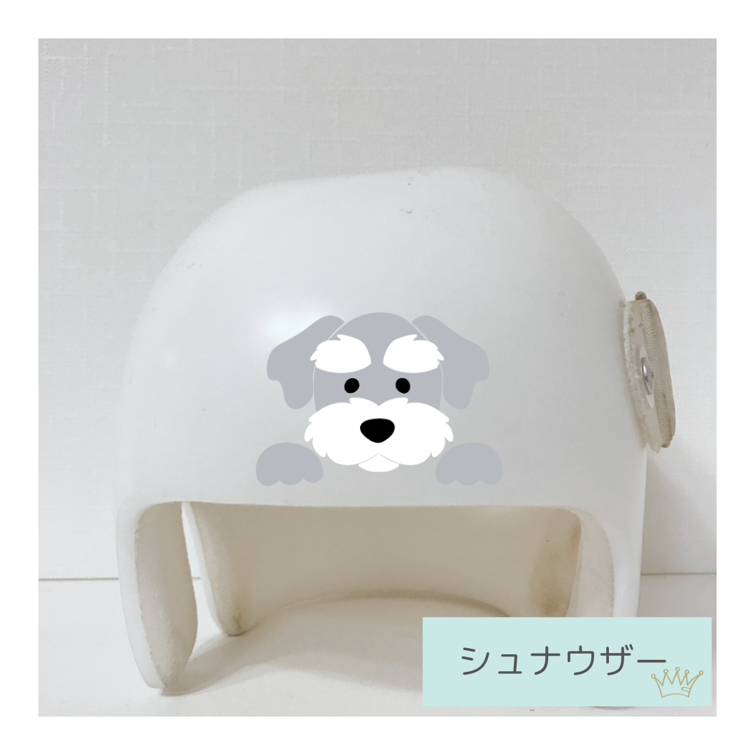 シュナウザー