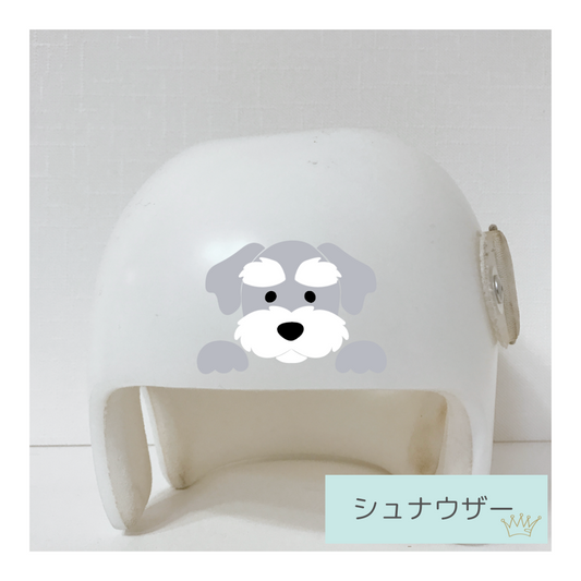 シュナウザー
