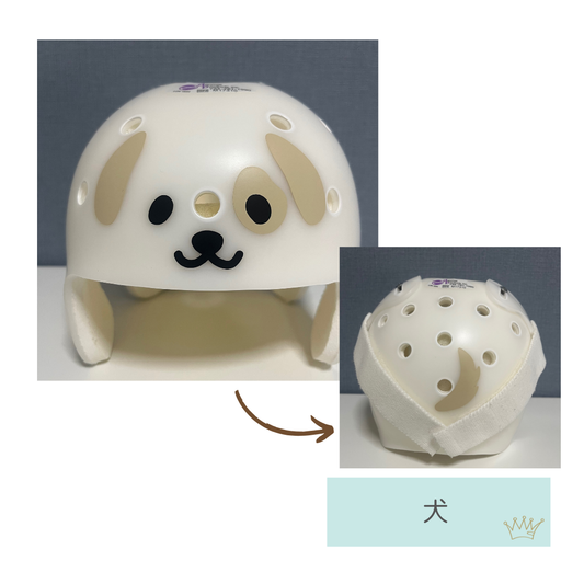犬